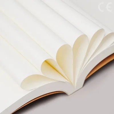 Cahier épais à couverture kraft, A5 ou B5 – image 3