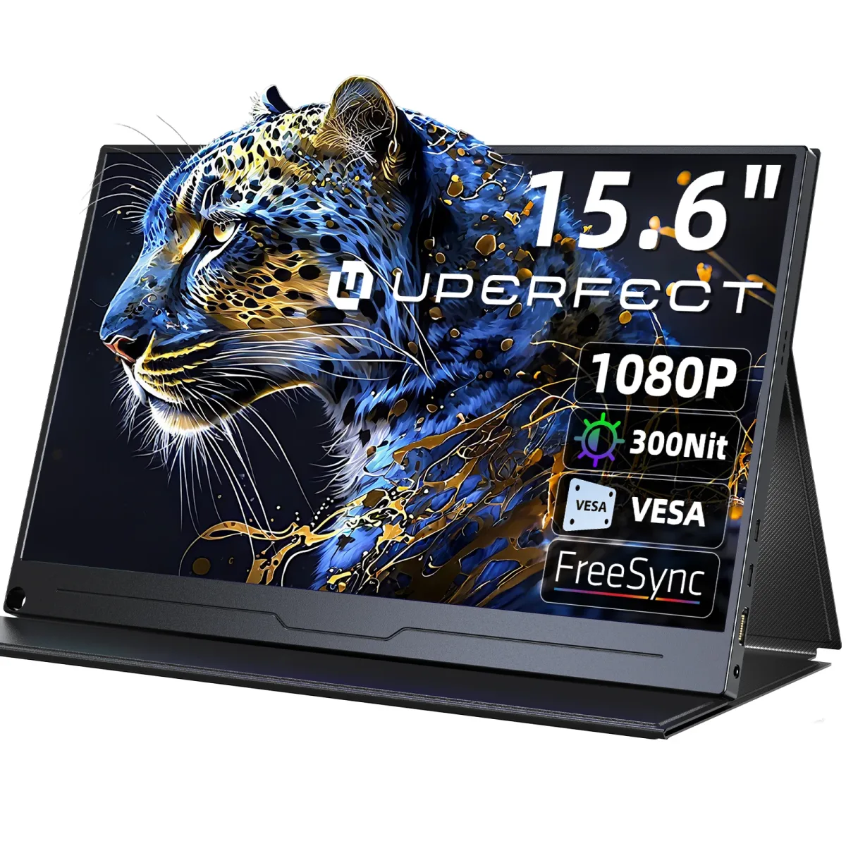 Moniteur portable 15,6 pouces Full HD IPS