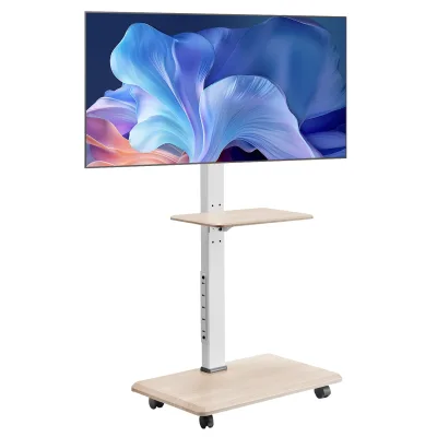 Support TV mobile sur roulettes en acier